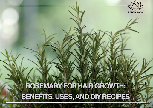 Rosemary for Hair Growth: Benefits, Uses, and DIY Recipes